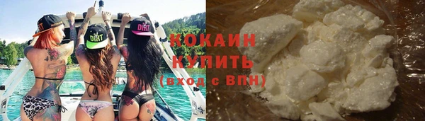 гидропоника Дмитриев