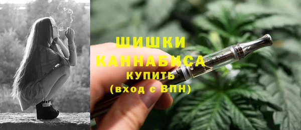 гидропоника Дмитриев