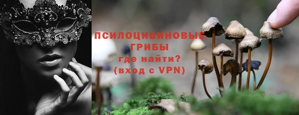 гидропоника Дмитриев