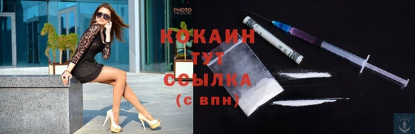 гидропоника Дмитриев