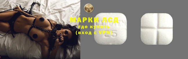 спиды Дмитров