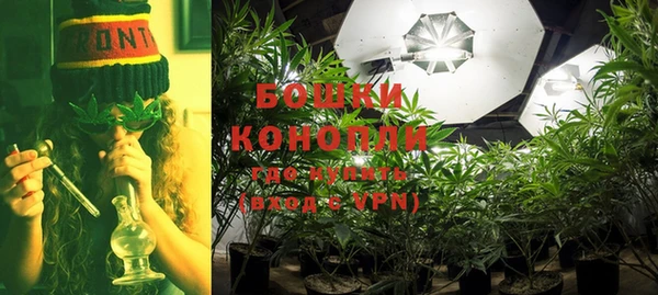 гидропоника Дмитриев