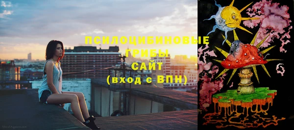 спиды Дмитров