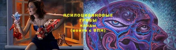 спиды Дмитров